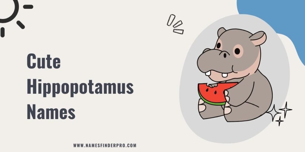 Cute Hippopotamus Names