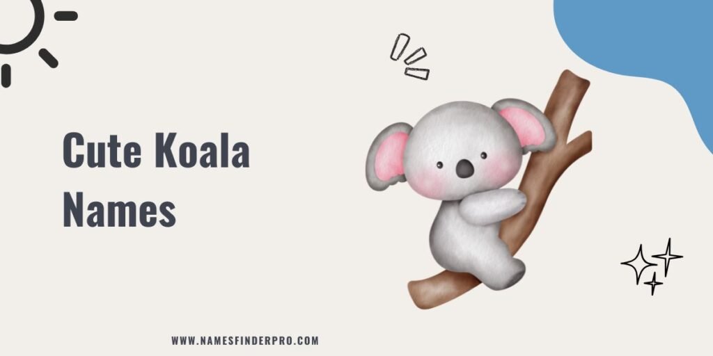 Cute Koala Names