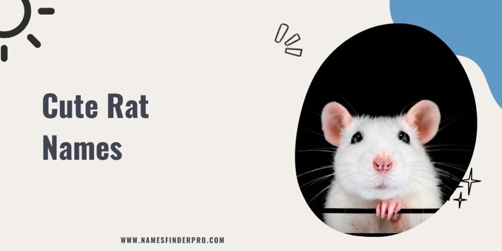 Cute Rat Names