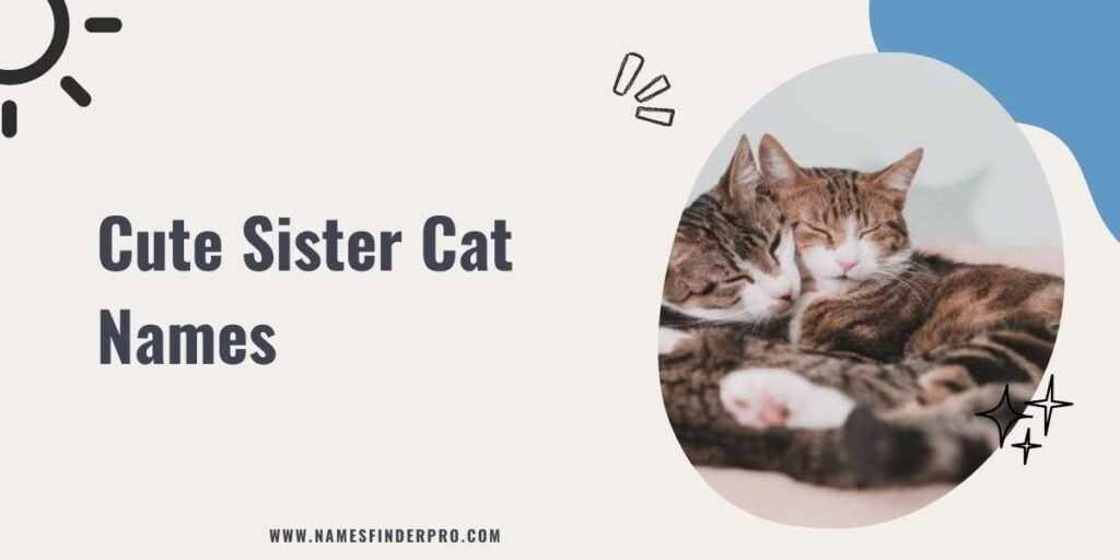 Cute Sister Cat Names