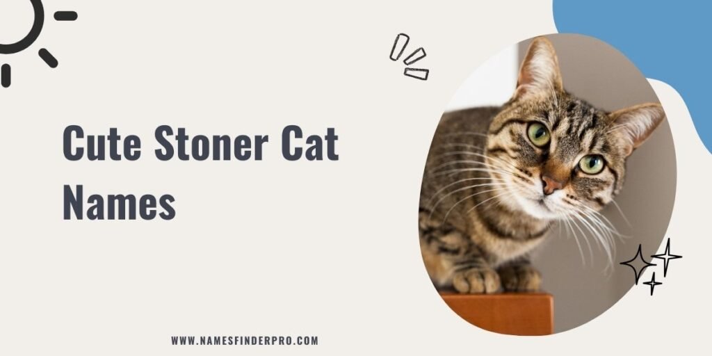 Cute Stoner Cat Names