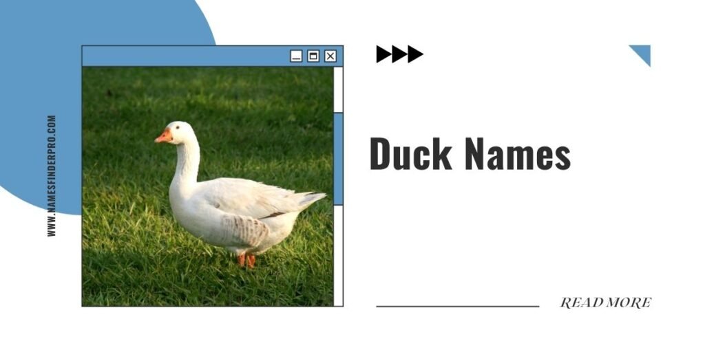 Duck Names