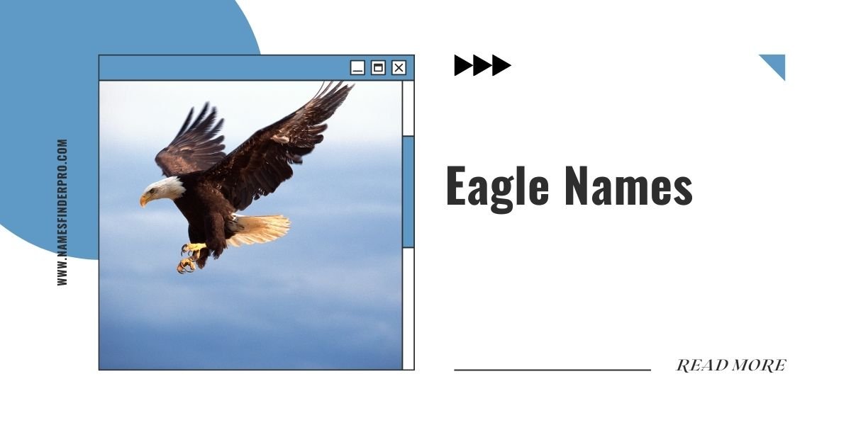 Eagle Names