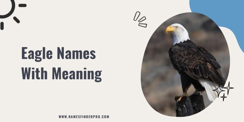 Eagle Names With Meaning 