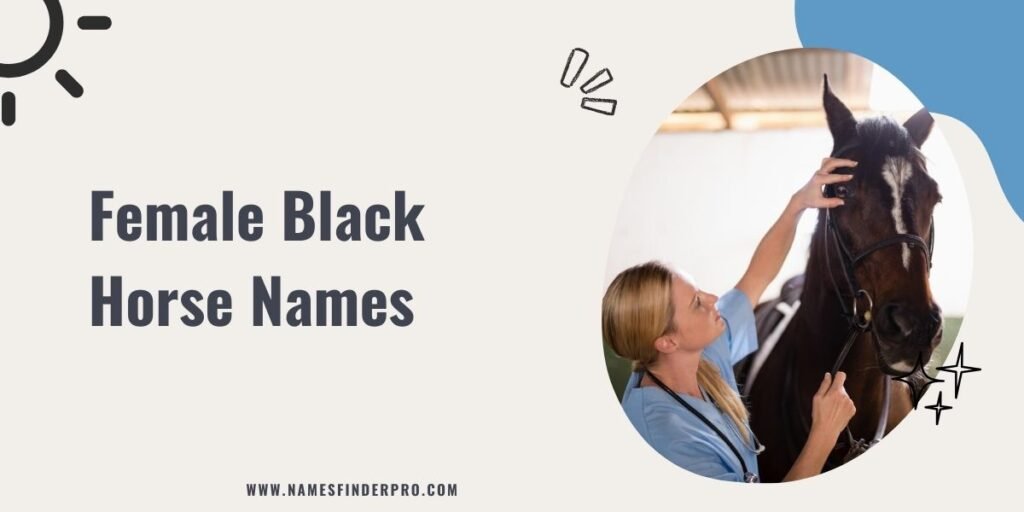 Female Black Horse Names