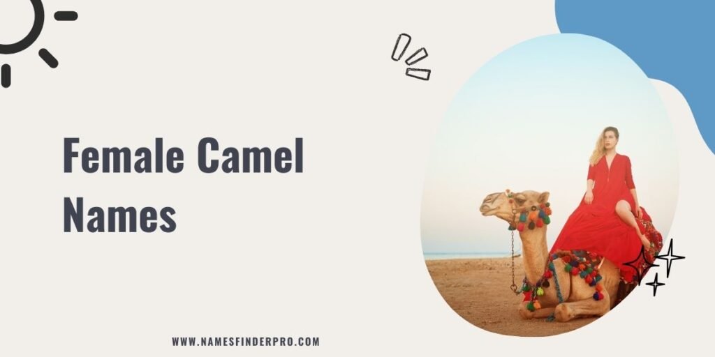 Female Camel Names