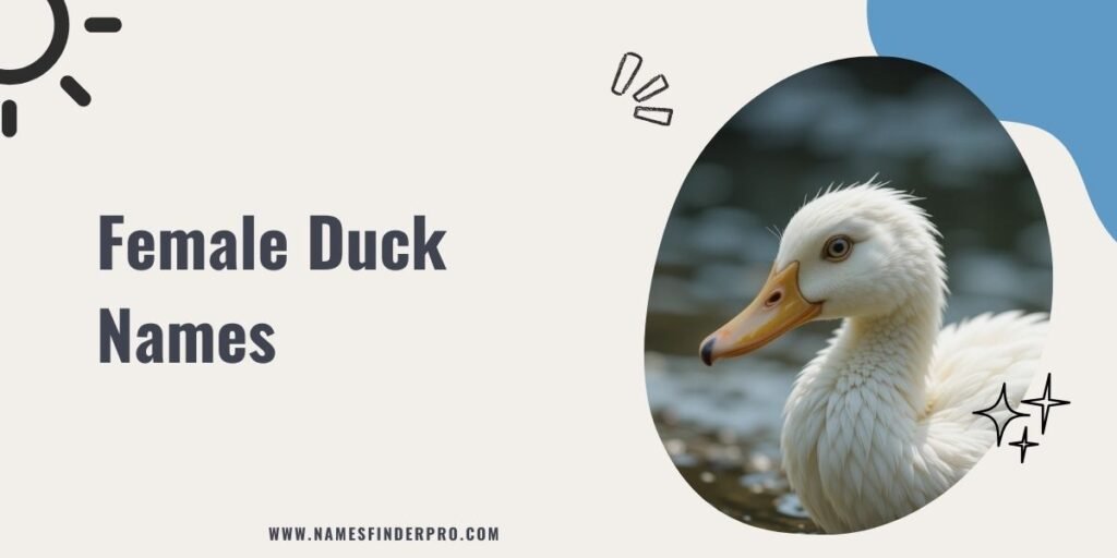 Female Duck Names