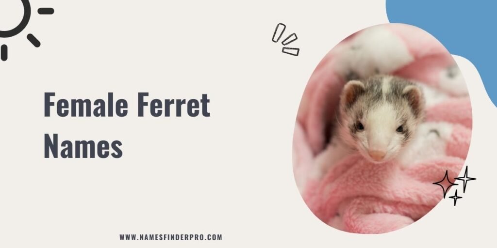 Female Ferret Names