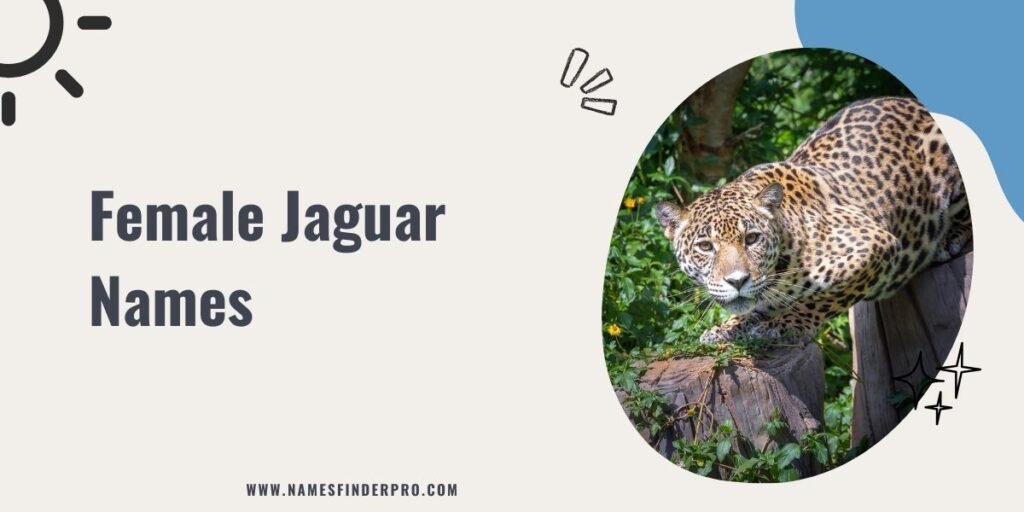 Female Jaguar Names