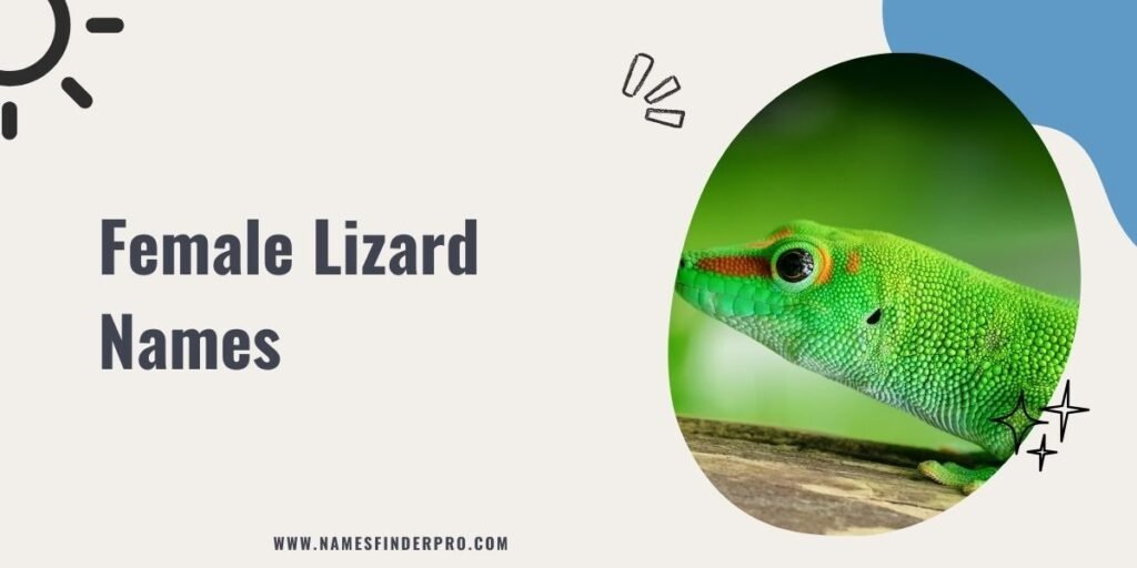 Female Lizard Names