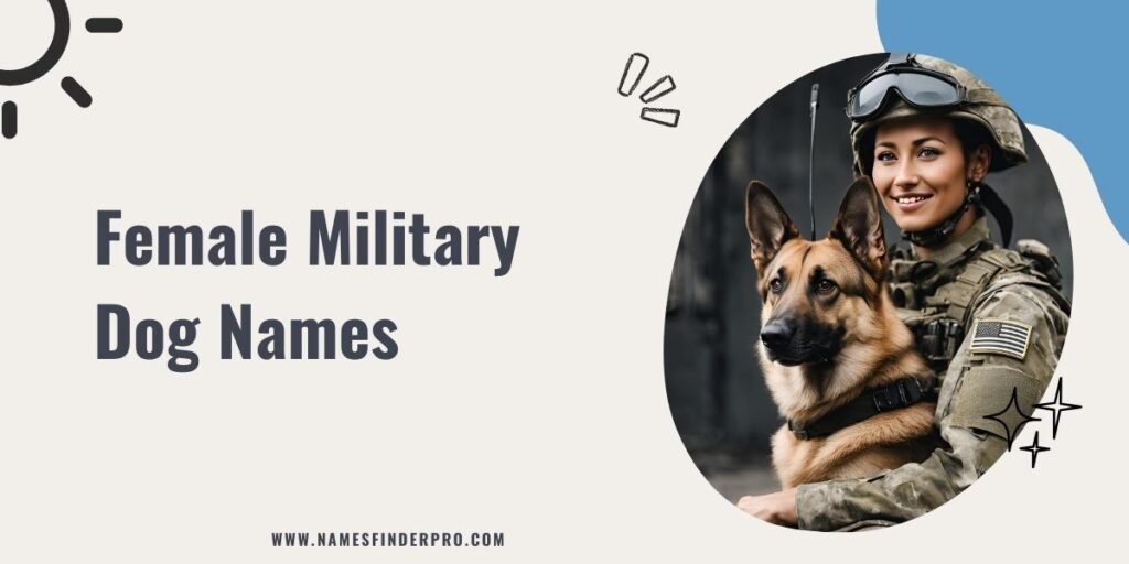 Female Military Dog Names