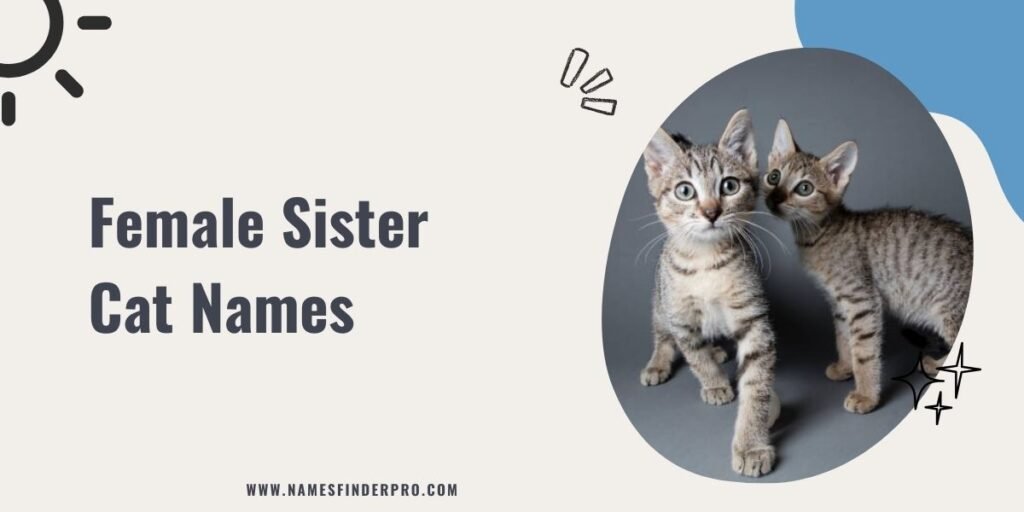 Female Sister Cat Names