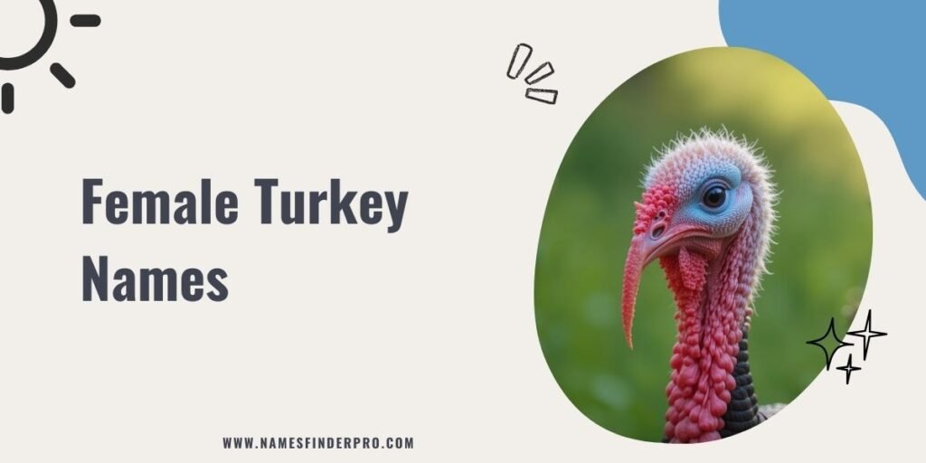 Female Turkey Names