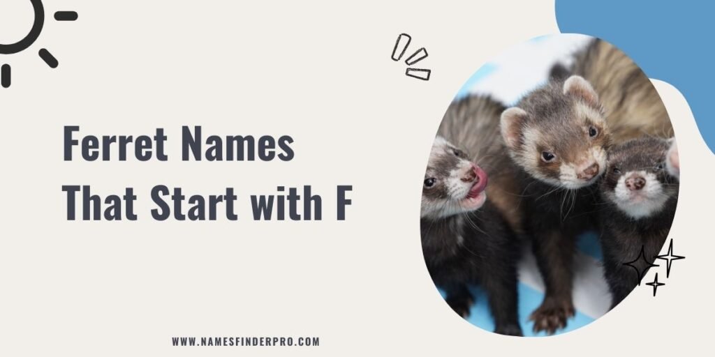 Ferret Names That Start with F