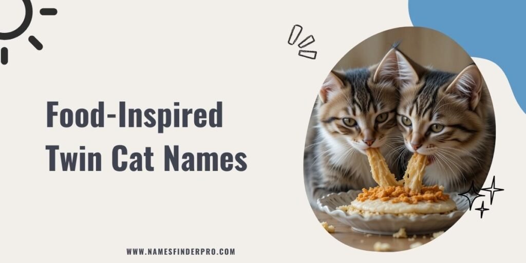 Food-Inspired Twin Cat Names