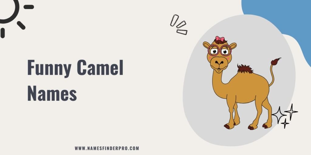 Funny Camel Names