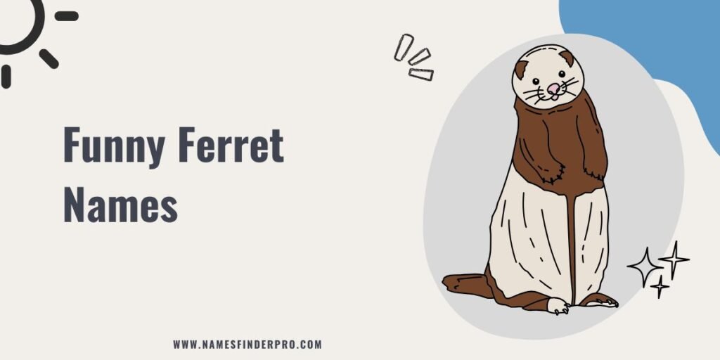 Funny Ferret Names