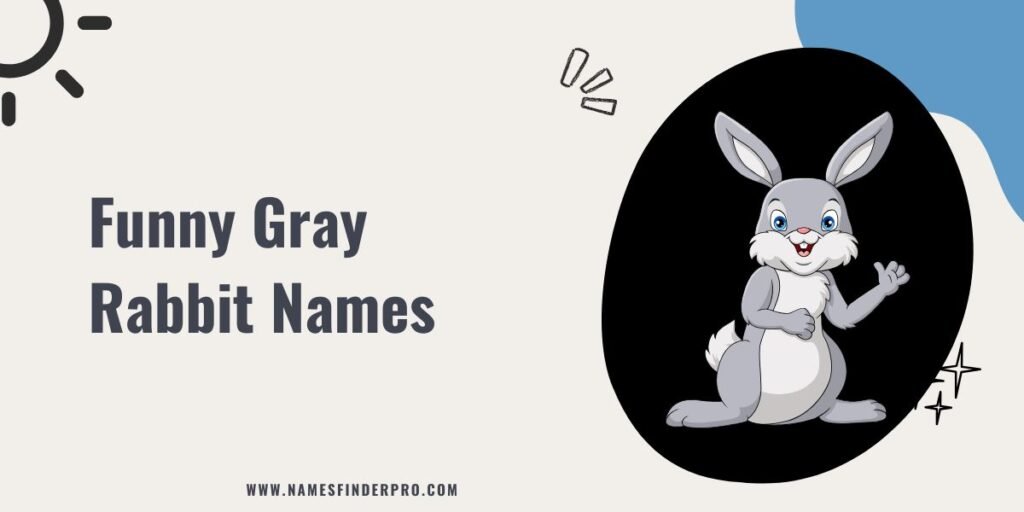 Funny Gray Rabbit Names