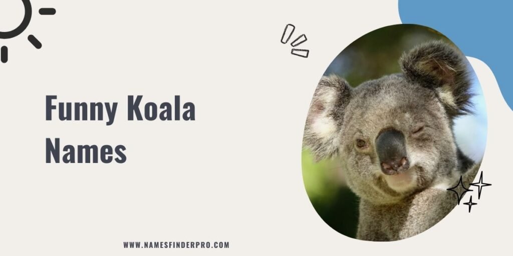 Funny Koala Names