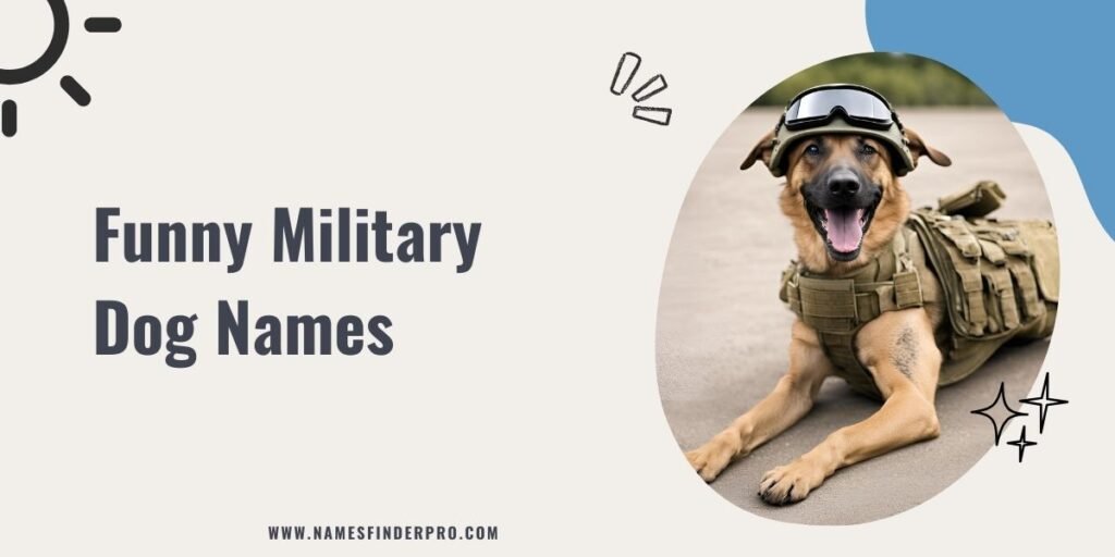 Funny Military Dog Names