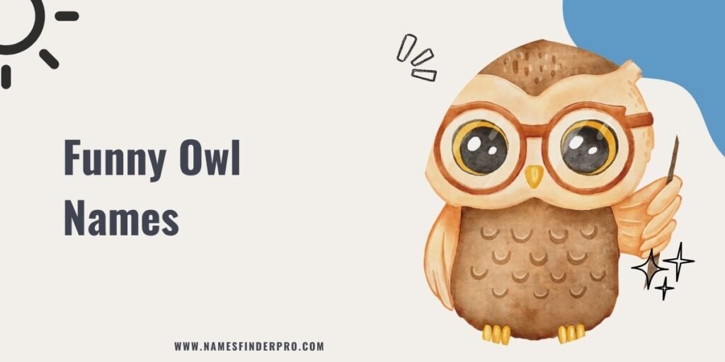 Funny Owl Names