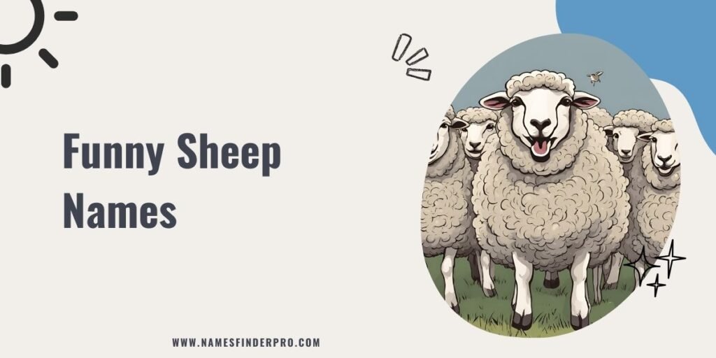 Funny Sheep Names 