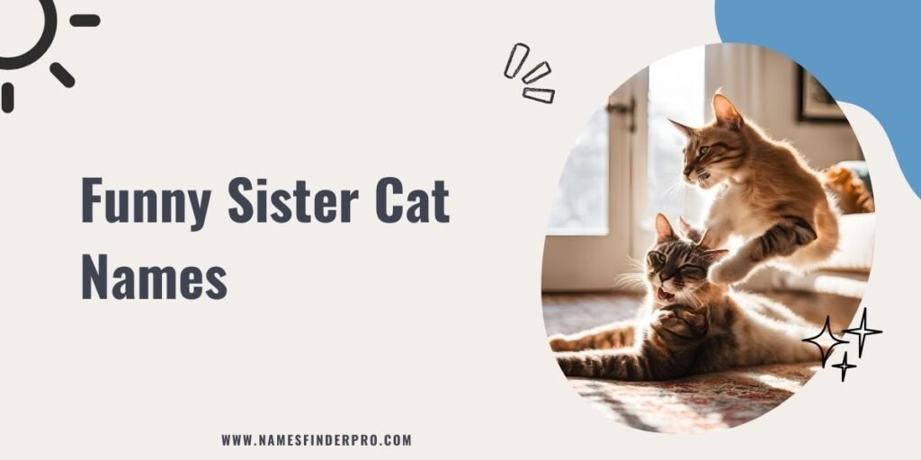 Funny Sister Cat Names