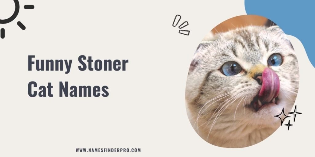 Funny Stoner Cat Names