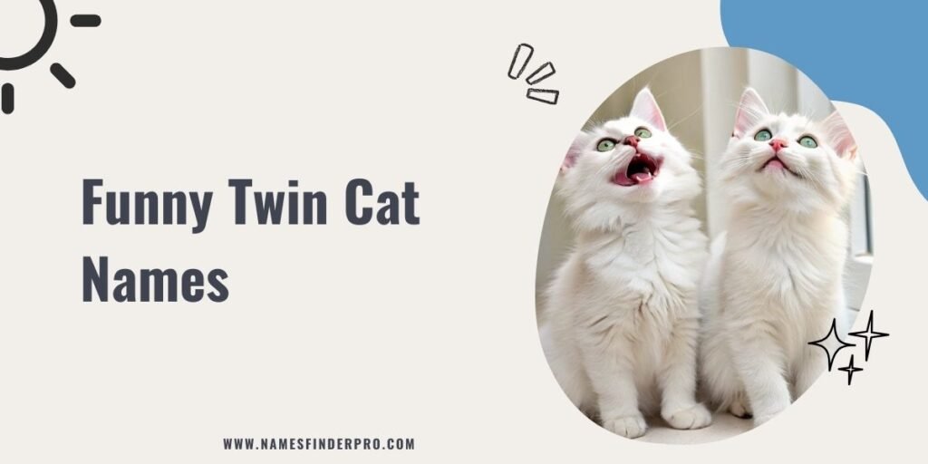 Funny Twin Cat Names