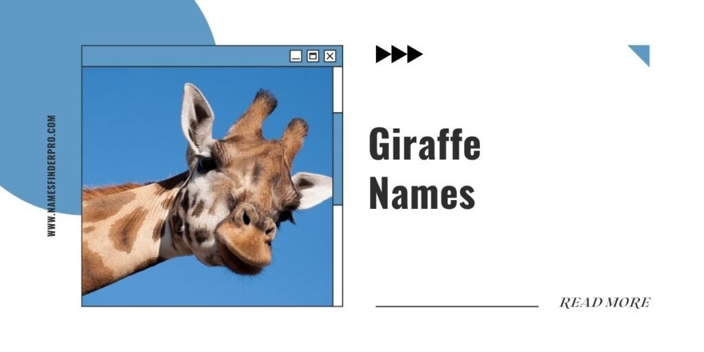 Giraffe Names