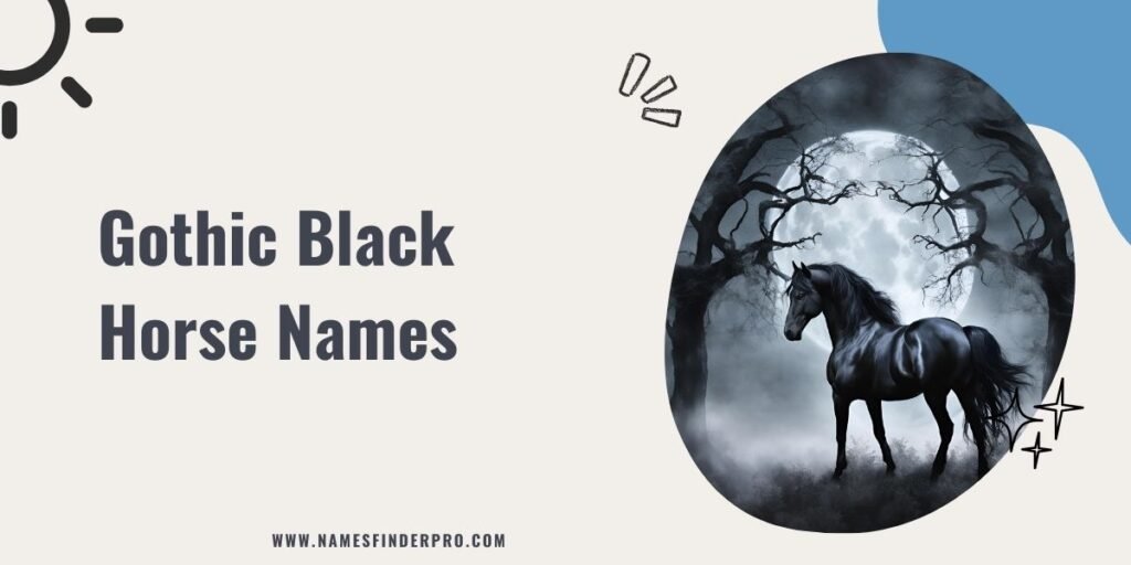 Gothic Black Horse Names