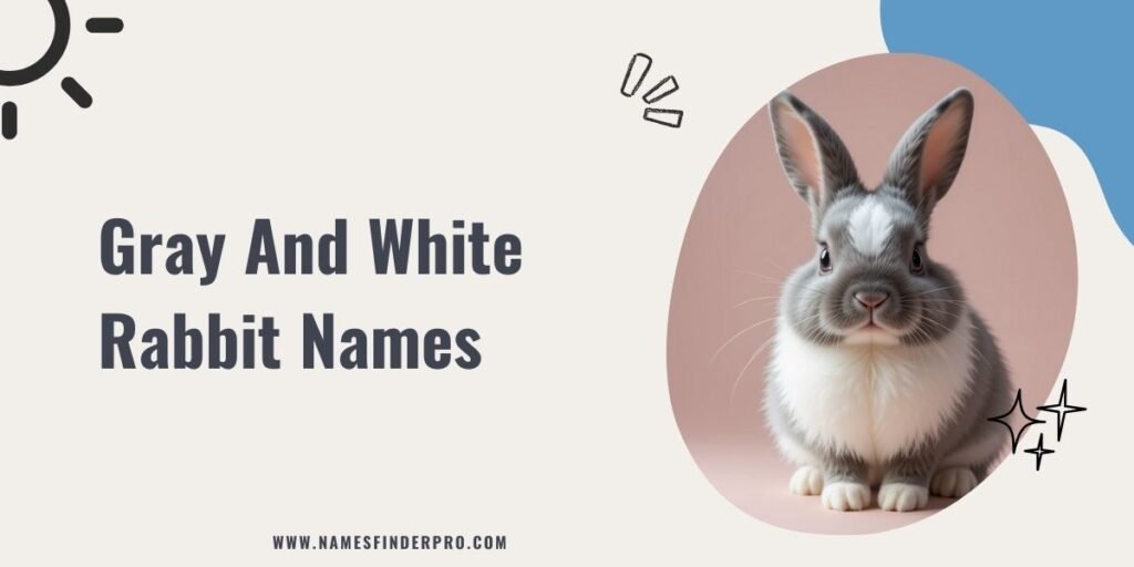 Gray and White Rabbit Names