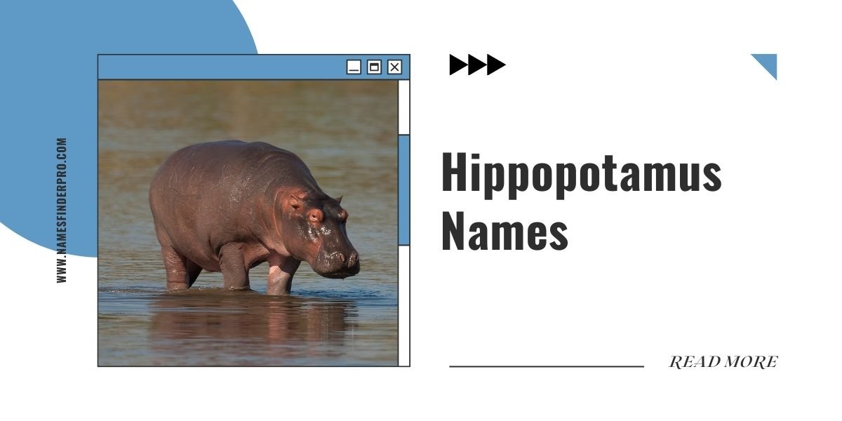 Hippopotamus Names