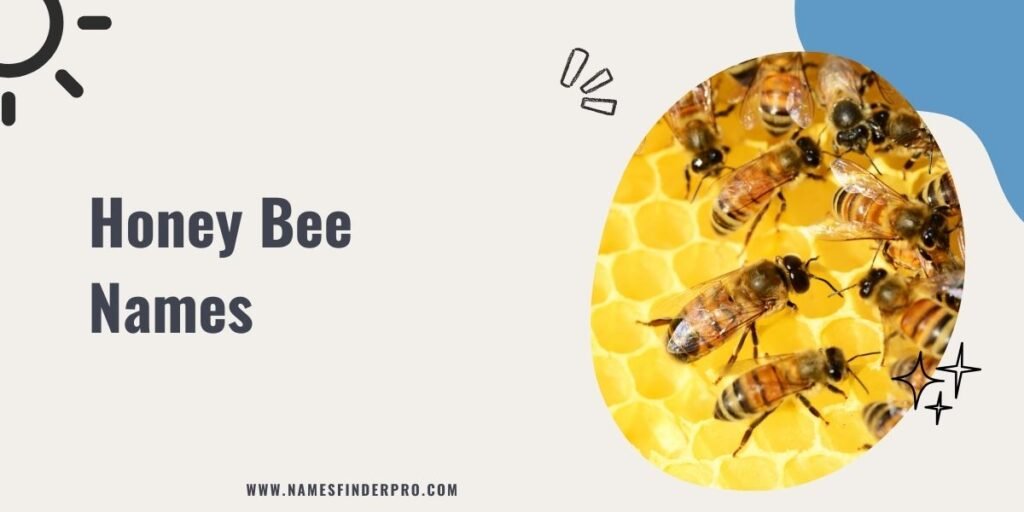 Honey Bee Names