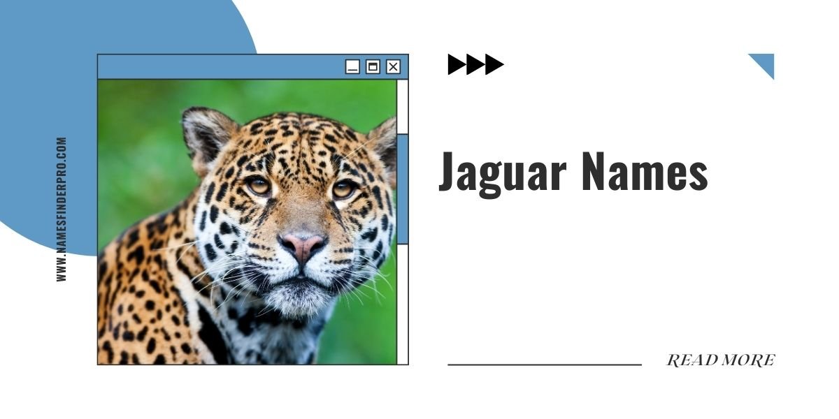 Jaguar Names