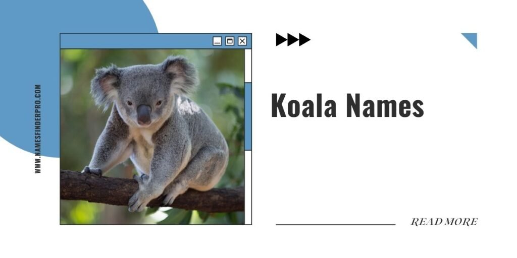 Koala Names