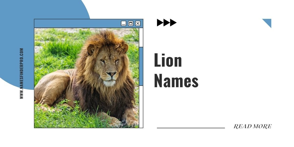 Lion Names