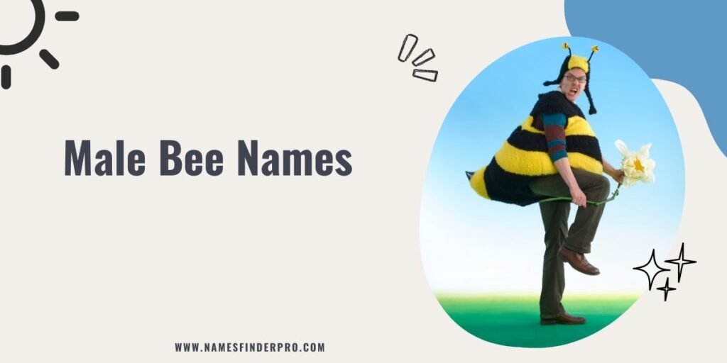 Male Bee Names