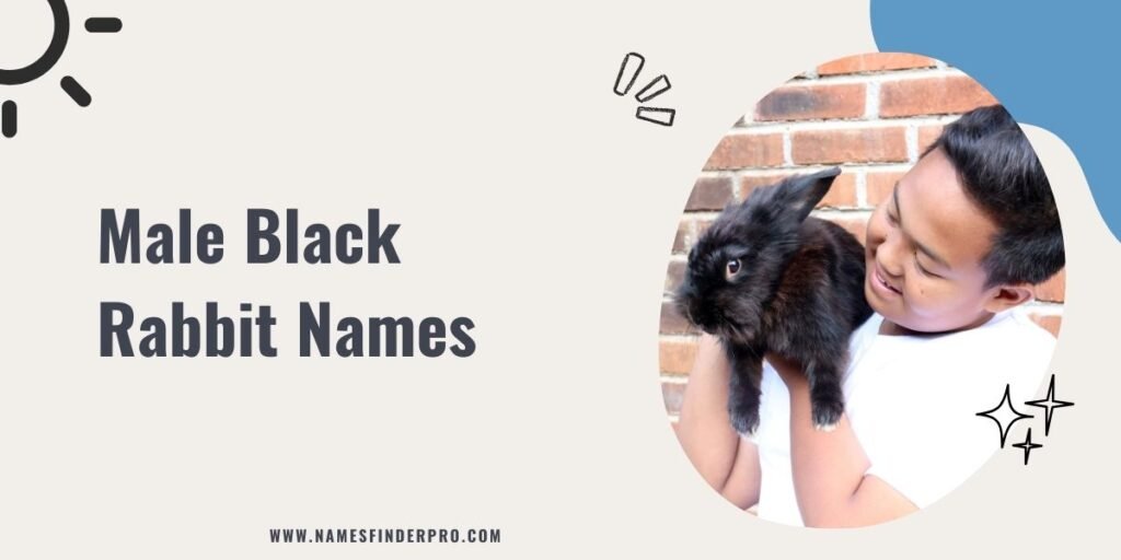 Male Black Rabbit Names