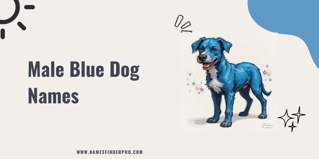 Male Blue Dog Names