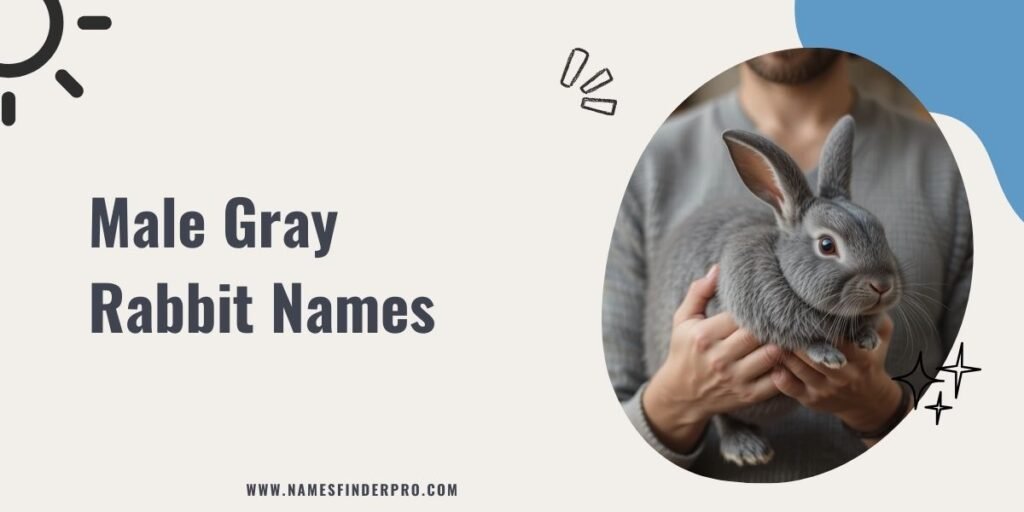 Male Gray Rabbit Names