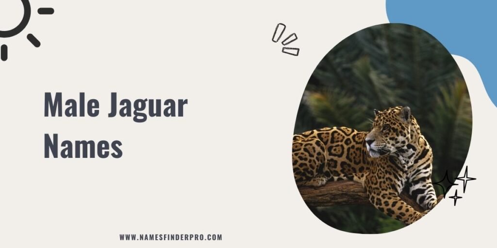 Male Jaguar Names