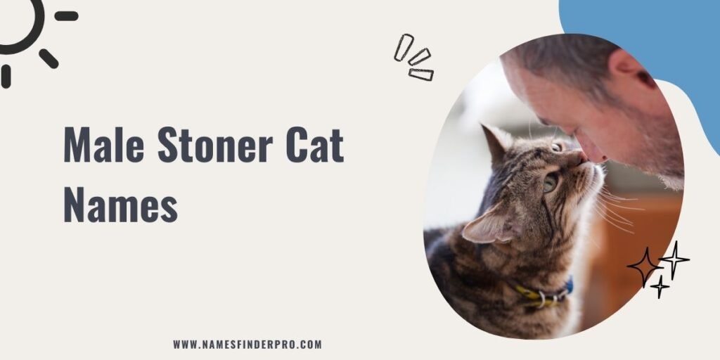 Male Stoner Cat Names