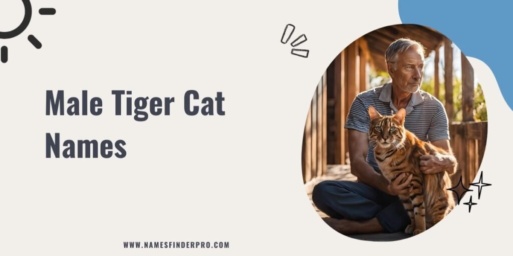 Male Tiger Cat Names