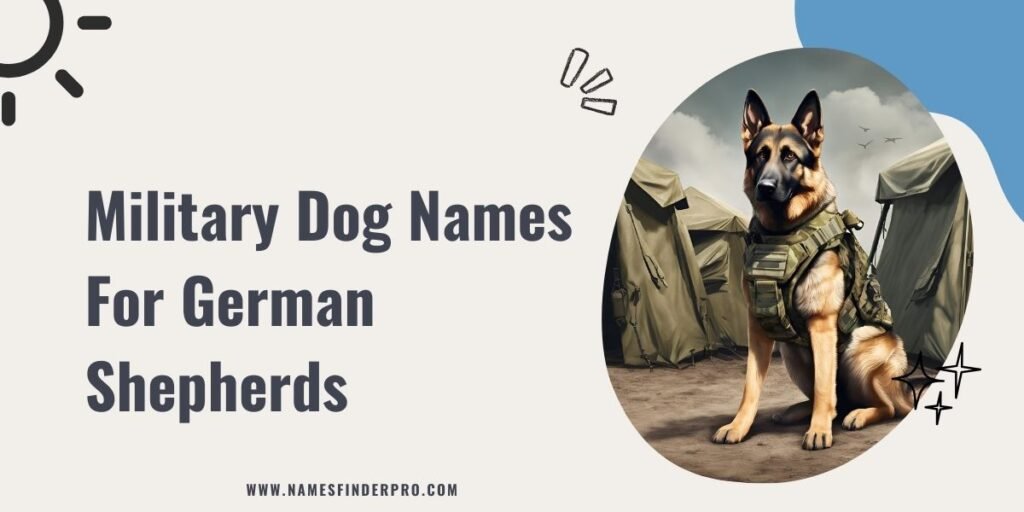 Military Dog Names For German Shepherds