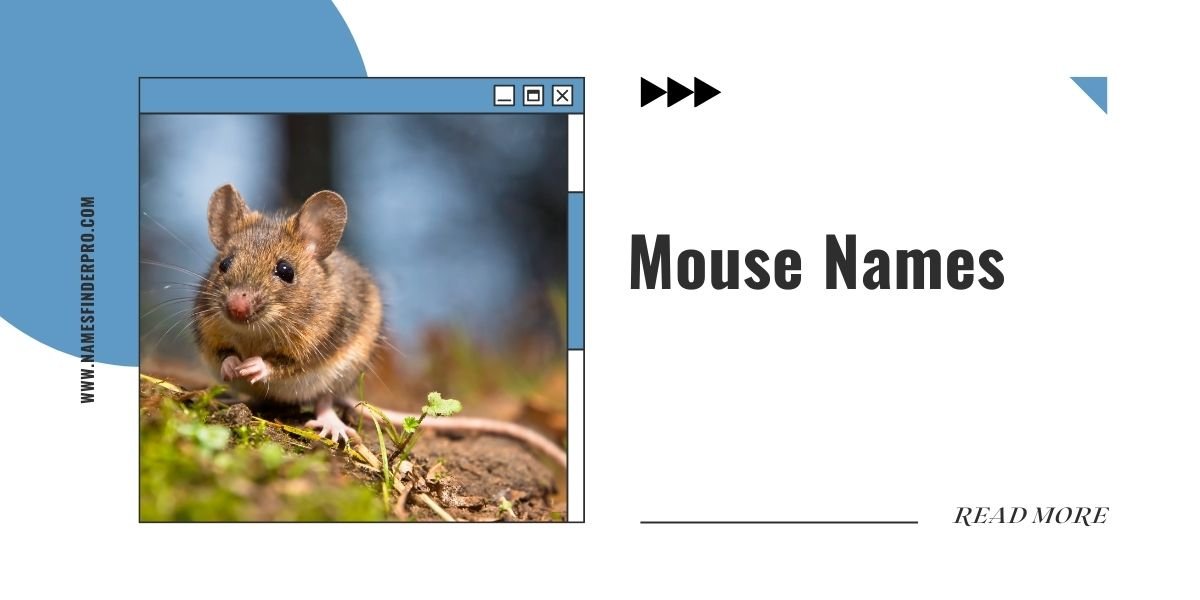 Mouse Names