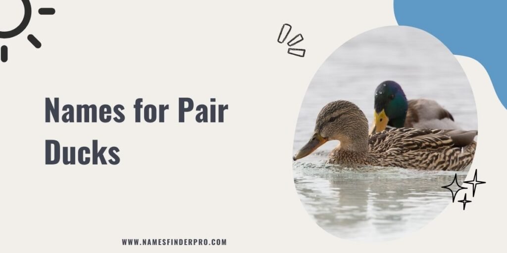 Names for Pair Ducks