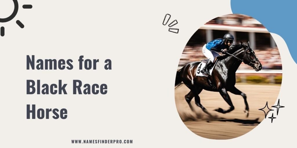 Names for a Black Race Horse