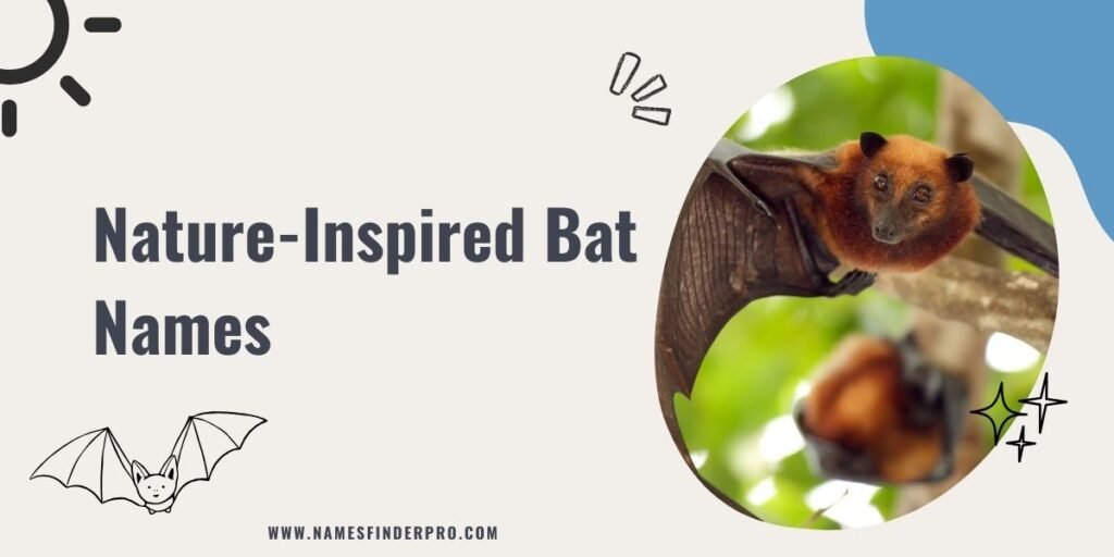 Nature-Inspired Bat Names 