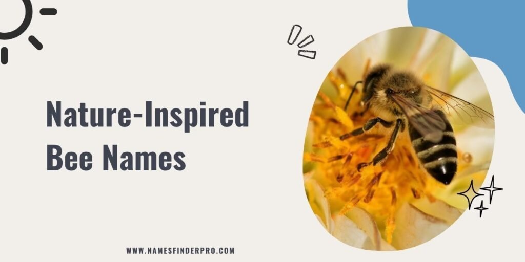 Nature-Inspired Bee Names